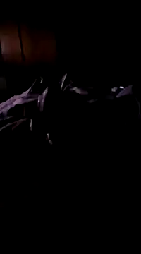 Snapshot of Imthegoattt chatting on December 2024 11:47:01 PM Imthegoattt online show from December 2024 11:47:01 PM