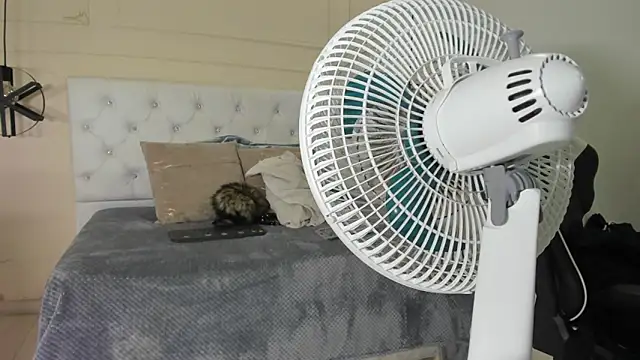 Snapshot of Slut_Milf_ chatting on January 2025 10:44:01 PM Slut Milf online show from January 2025 10:44:01 PM