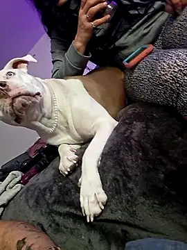 Snapshot of Jokergotherwett chatting on March 2026 08:09:02 AM Jokergotherwett online show from March 2026 08:09:02 AM