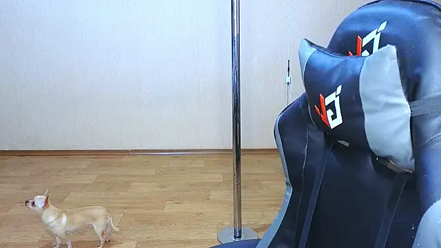 Snapshot of doll_barbieee chatting on March 2025 05:06:02 PM doll barbieee online show from March 2025 05:06:02 PM