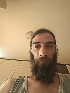 vulpe8400 online show from July 2026 03:19:02 PM