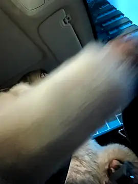 SukyGirl online show from January 2025 05:37:02 AM