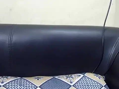 Indian korean online show from December 2024 03:42:02 PM