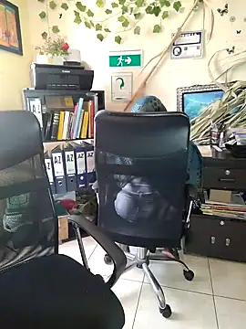 NAJWA-ARAB online show from January 2025 02:24:02 PM