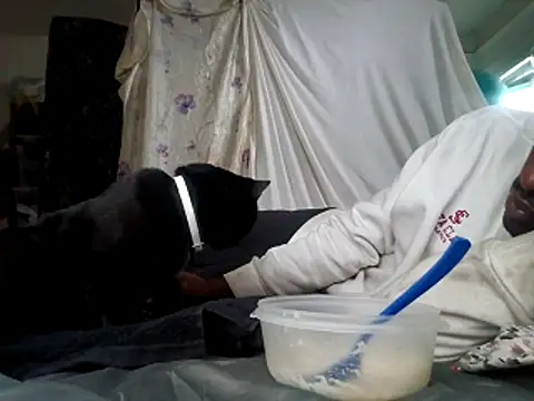 Snapshot of DevinToore chatting on December 2025 06:01:02 PM DevinToore online show from December 2025 06:01:02 PM