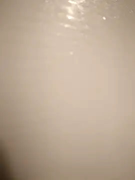 Snapshot of 53kkkkkk chatting on February 2026 03:18:01 PM 53kkkkkk online show from February 2026 03:18:01 PM