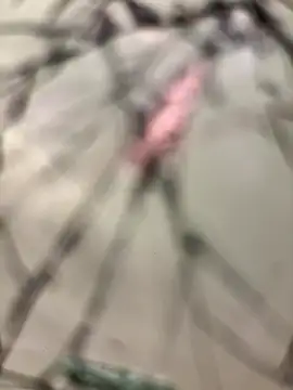 Snapshot of lescro95_ chatting on December 2025 03:28:02 PM lescro95 online show from December 2025 03:28:02 PM