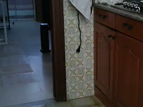 VeneRed online show from October 2025 08:03:01 AM