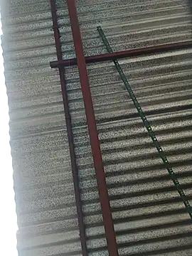 elputoflaco online show from January 2026 11:46:02 AM