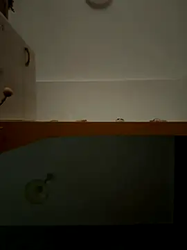 Lecatore80 online show from November 2025 07:50:01 AM