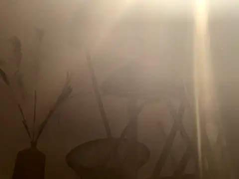 Snapshot of mesetti chatting on December 2024 03:13:02 PM mesetti online show from December 2024 03:13:02 PM