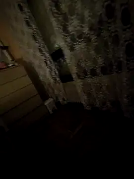 Snapshot of pumapatri chatting on November 2025 09:14:01 PM pumapatri online show from November 2025 09:14:01 PM