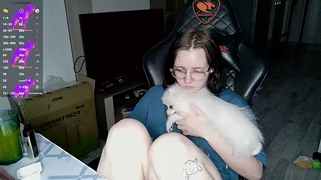 crashtest 13 online show from December 2024 01:38:02 PM