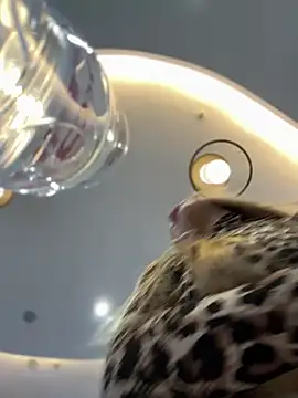 Snapshot of mur_girl chatting on December 2024 12:42:01 PM mur girl online show from December 2024 12:42:01 PM