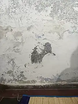 MaaliiiPonuTamil online show from February 2025 03:36:02 PM