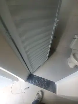 janjuniior online show from December 2025 12:54:01 PM