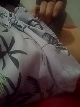 novilho18piroc online show from March 2026 03:11:01 AM