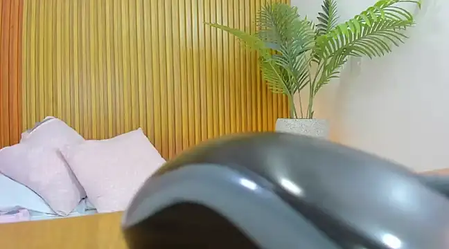 Snapshot of nahia_13 chatting on February 2025 02:57:02 PM nahia 13 online show from February 2025 02:57:02 PM