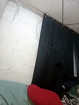 georgia oli online show from February 2025 12:39:01 AM