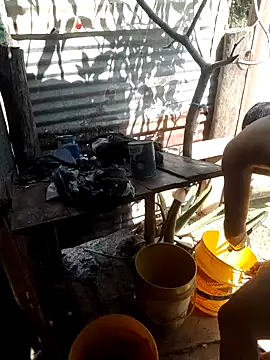 tayson  online show from January 2025 05:58:01 PM