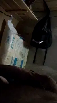 Snapshot of cockringkelley97 chatting on December 2024 04:29:02 PM cockringkelley97 online show from December 2024 04:29:02 PM