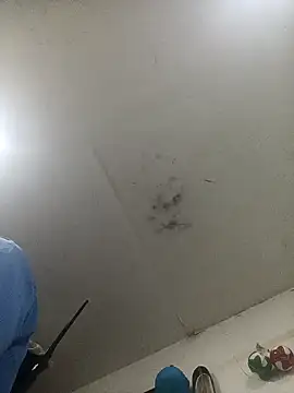 Snapshot of jeremiabello chatting on February 2025 01:02:01 AM jeremiabello online show from February 2025 01:02:01 AM