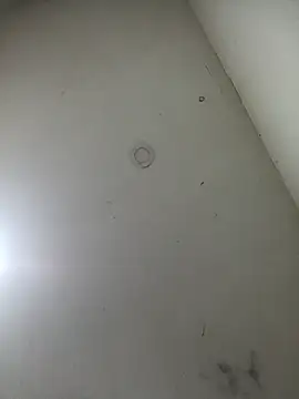 Snapshot of jeremiabello chatting on March 2025 10:49:02 AM jeremiabello online show from March 2025 10:49:02 AM