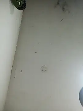 Snapshot of jeremiabello chatting on March 2025 04:45:02 AM jeremiabello online show from March 2025 04:45:02 AM