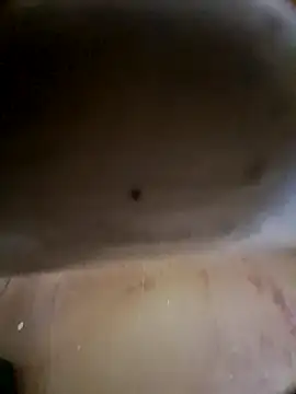 hot telugu dickK07 online show from May 2026 06:30:02 AM