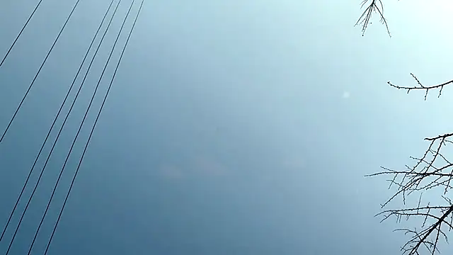 QianF-666 online show from February 2025 09:30:02 AM