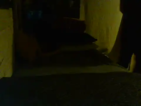 Snapshot of Gman143187 chatting on February 2025 09:08:02 AM Gman143187 online show from February 2025 09:08:02 AM