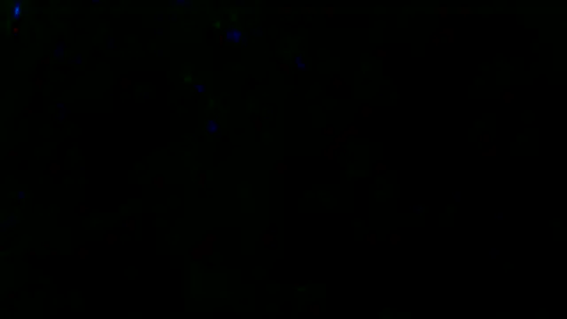 Snapshot of Gman143187 chatting on March 2025 09:43:01 AM Gman143187 online show from March 2025 09:43:01 AM