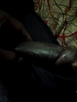 Antor1234 online show from January 2025 05:59:02 PM