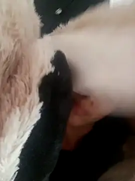 giuliana andrade online show from February 2025 09:28:01 AM