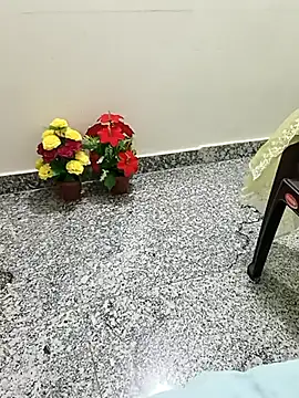 Snapshot of Saroj-Shah chatting on September 2025 05:48:01 PM Saroj-Shah online show from September 2025 05:48:01 PM