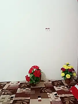 Snapshot of Saroj-Shah chatting on October 2025 03:50:01 AM Saroj-Shah online show from October 2025 03:50:01 AM