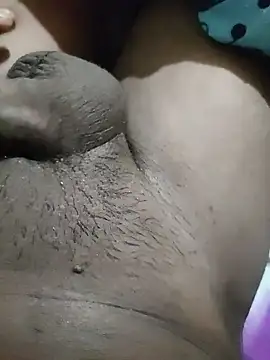 pusssyhub online show from January 2026 10:25:01 PM