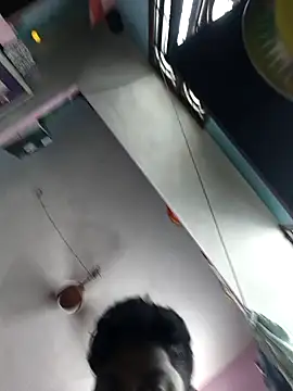 Whiskyboye online show from October 2025 05:14:01 AM