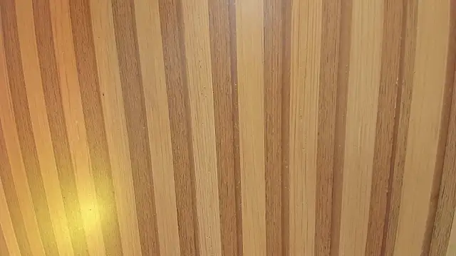 Taylor  cooper online show from February 2026 06:22:02 PM