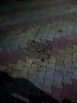 Snapshot of Cv_69 chatting on October 2025 01:34:02 PM Cv 69 online show from October 2025 01:34:02 PM