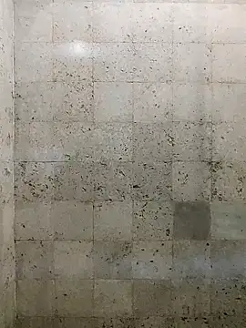 Punekarmanoj97 online show from November 2025 09:19:02 AM