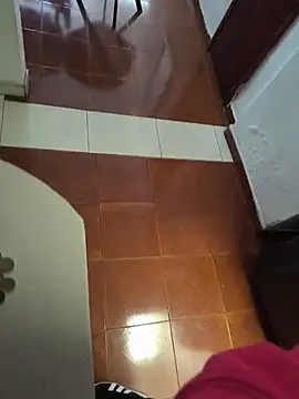 Dyr08 online show from November 2025 05:01:02 PM