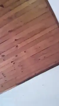 Snapshot of DANIELA_MICHEL chatting on January 2025 08:41:01 PM DANIELA MICHEL online show from January 2025 08:41:01 PM