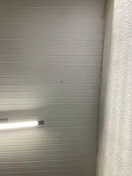 Snapshot of luara1988 chatting on September 2025 11:04:02 AM luara1988 online show from September 2025 11:04:02 AM