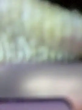 Snapshot of grace-3 chatting on November 2025 04:33:02 AM grace-3 online show from November 2025 04:33:02 AM