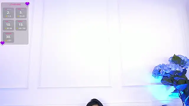 elasummer online show from January 2025 06:29:02 PM