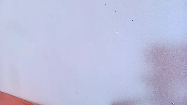 Amy wats0n online show from March 2025 10:07:02 PM