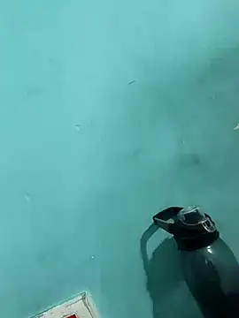 Snapshot of Rani_devi88 chatting on February 2025 09:43:01 AM Rani devi88 online show from February 2025 09:43:01 AM