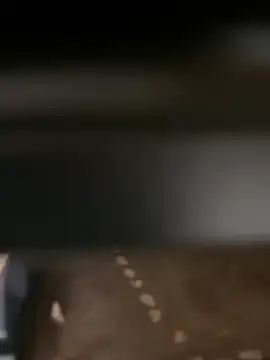 Snapshot of evoscenteno chatting on December 2024 12:32:02 AM evoscenteno online show from December 2024 12:32:02 AM