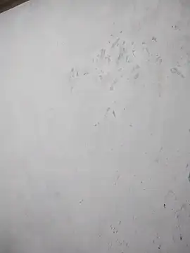 black cobra70 online show from October 2025 12:44:02 PM